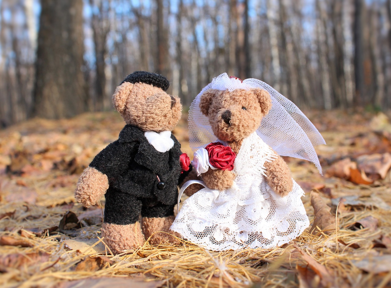 Photo of 2 teddy bears in wedding outfits 